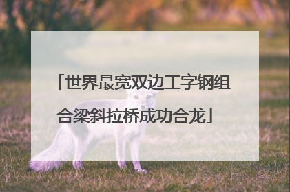 世界最宽双边工字钢组合梁斜拉桥成功合龙