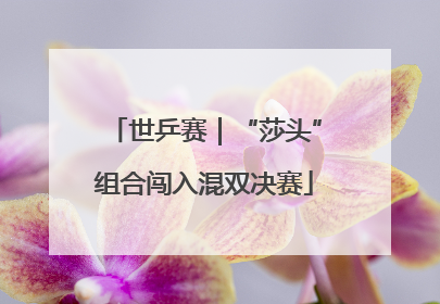 世乒赛｜“莎头”组合闯入混双决赛