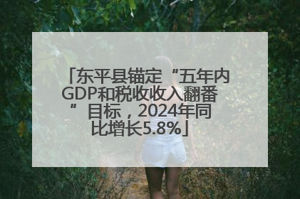 东平县锚定“五年内GDP和税收收入翻番”目标，2024年同比增长5.8%