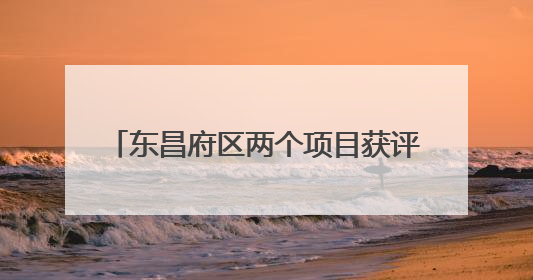 东昌府区两个项目获评“聊城市2024年度法治为民实事”项目