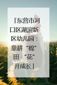东营市河口区湖滨新区幼儿园：童耕“棉”田 “花”开成长