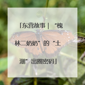 东营故事｜“槐林二奶奶”的“土潮”出圈密码
