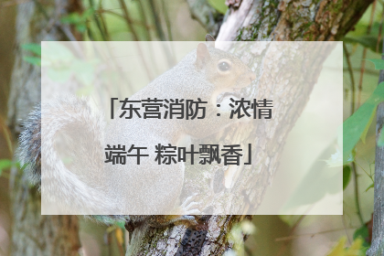 东营消防：浓情端午 粽叶飘香