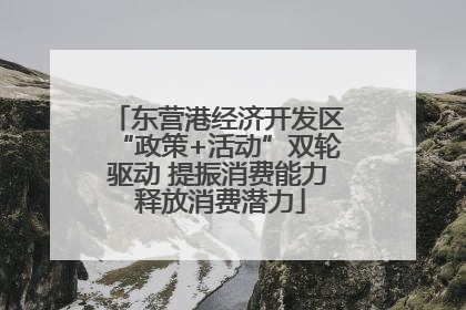 东营港经济开发区“政策+活动”双轮驱动 提振消费能力 释放消费潜力