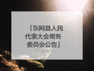 东阿县人民代表大会常务委员会公告