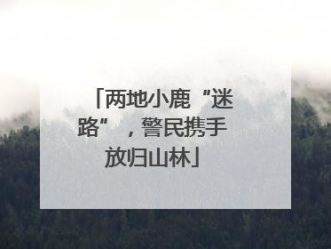 两地小鹿“迷路”，警民携手放归山林