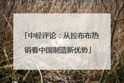 中经评论：从拉布布热销看中国制造新优势