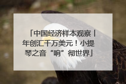 中国经济样本观察丨年创汇千万美元！小提琴之音“响”彻世界