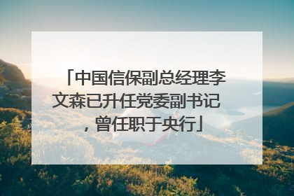 中国信保副总经理李文森已升任党委副书记，曾任职于央行