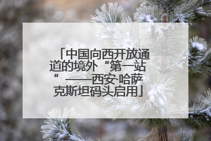 中国向西开放通道的境外“第一站”——西安·哈萨克斯坦码头启用