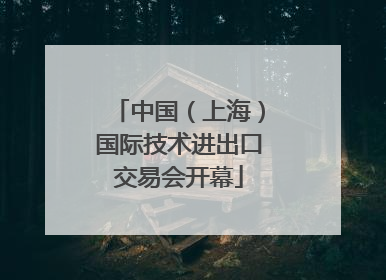 中国（上海）国际技术进出口交易会开幕