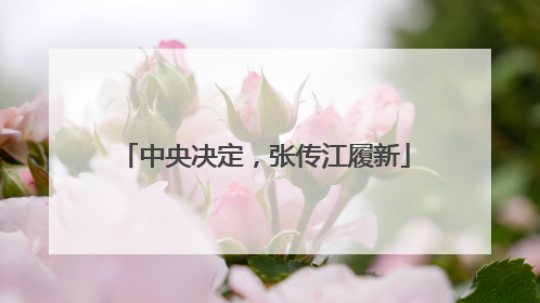 中央决定，张传江履新