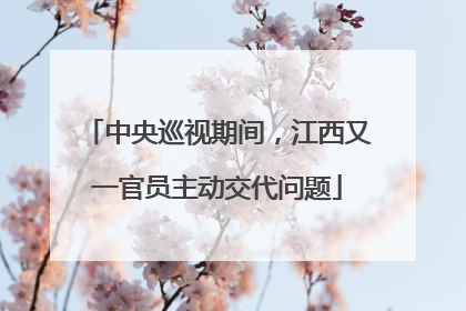 中央巡视期间，江西又一官员主动交代问题
