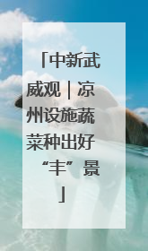 中新武威观｜凉州设施蔬菜种出好“丰”景