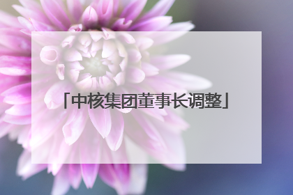 中核集团董事长调整