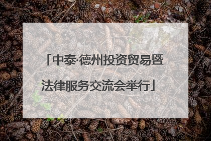 中泰·德州投资贸易暨法律服务交流会举行