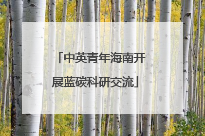 中英青年海南开展蓝碳科研交流