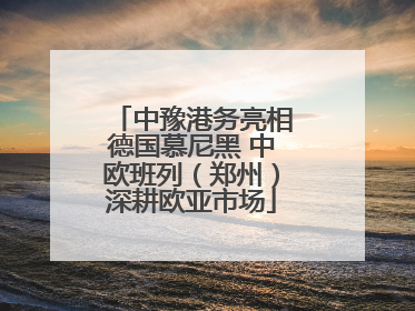 中豫港务亮相德国慕尼黑 中欧班列（郑州）深耕欧亚市场