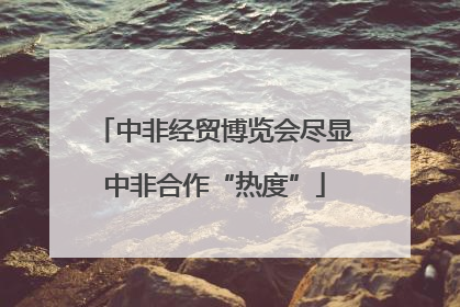 中非经贸博览会尽显中非合作“热度”