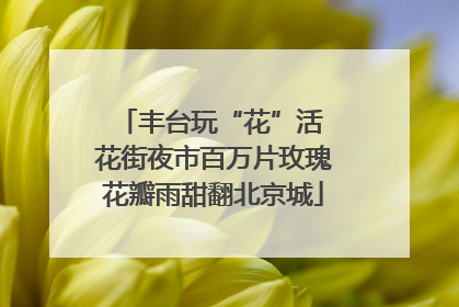 丰台玩“花”活 花街夜市百万片玫瑰花瓣雨甜翻北京城