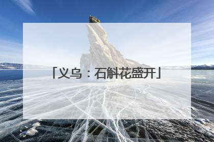 义乌：石斛花盛开