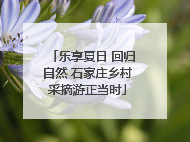 乐享夏日 回归自然 石家庄乡村采摘游正当时