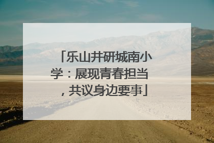 乐山井研城南小学：展现青春担当，共议身边要事