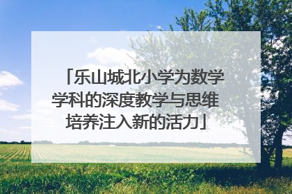 乐山城北小学为数学学科的深度教学与思维培养注入新的活力