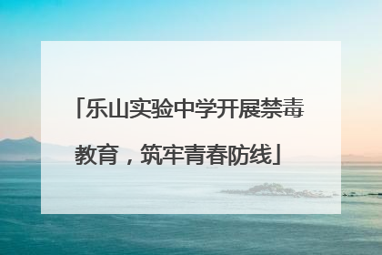 乐山实验中学开展禁毒教育，筑牢青春防线