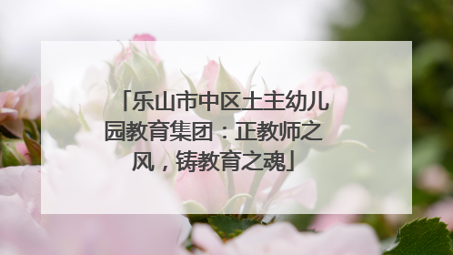 乐山市中区土主幼儿园教育集团：正教师之风，铸教育之魂