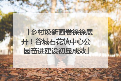 乡村焕新画卷徐徐展开！谷城石花镇中心公园奋进建设初显成效
