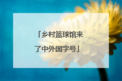 乡村篮球馆来了中外国字号