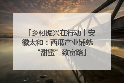 乡村振兴在行动丨安徽太和：西瓜产业铺就“甜蜜”致富路