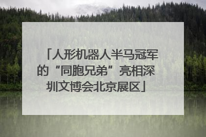 人形机器人半马冠军的“同胞兄弟”亮相深圳文博会北京展区