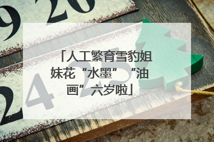 人工繁育雪豹姐妹花“水墨”“油画”六岁啦