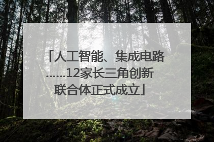 人工智能、集成电路……12家长三角创新联合体正式成立
