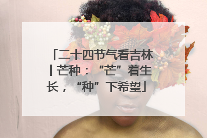 二十四节气看吉林丨芒种：“芒”着生长，“种”下希望