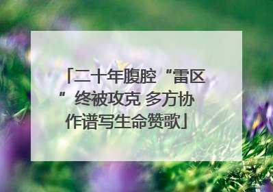 二十年腹腔“雷区”终被攻克 多方协作谱写生命赞歌