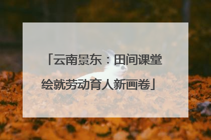 云南景东：田间课堂绘就劳动育人新画卷