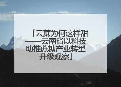 云蔗为何这样甜——云南省以科技助推蔗糖产业转型升级观察