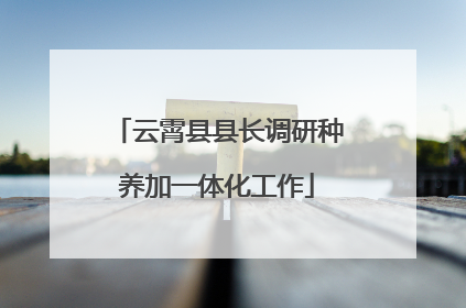 云霄县县长调研种养加一体化工作