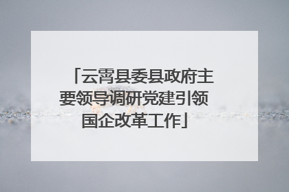 云霄县委县政府主要领导调研党建引领国企改革工作