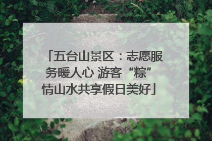五台山景区：志愿服务暖人心 游客“粽”情山水共享假日美好