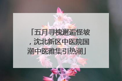 五月寻槐邂逅怪坡，沈北新区中医院国潮中医雅集引热潮