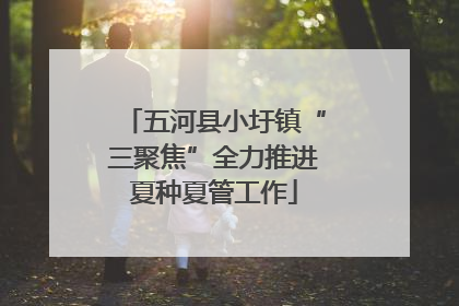五河县小圩镇“三聚焦”全力推进夏种夏管工作