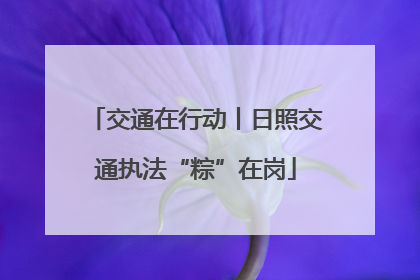 交通在行动丨日照交通执法“粽”在岗