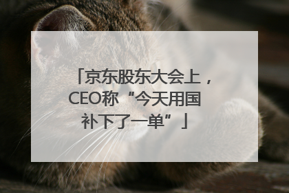 京东股东大会上，CEO称“今天用国补下了一单”