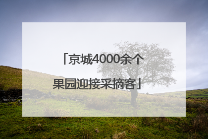 京城4000余个果园迎接采摘客