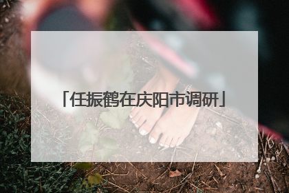 任振鹤在庆阳市调研