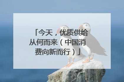今天，优质供给从何而来（中国消费向新而行）